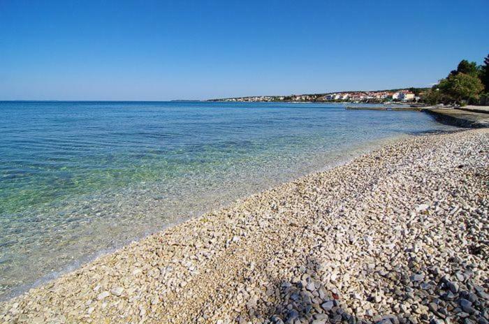 Apartment Leona Zadar Bagian luar foto
